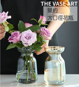 花瓶 玻璃插花瓶 玻璃花器 水培植物玻璃瓶花瓶