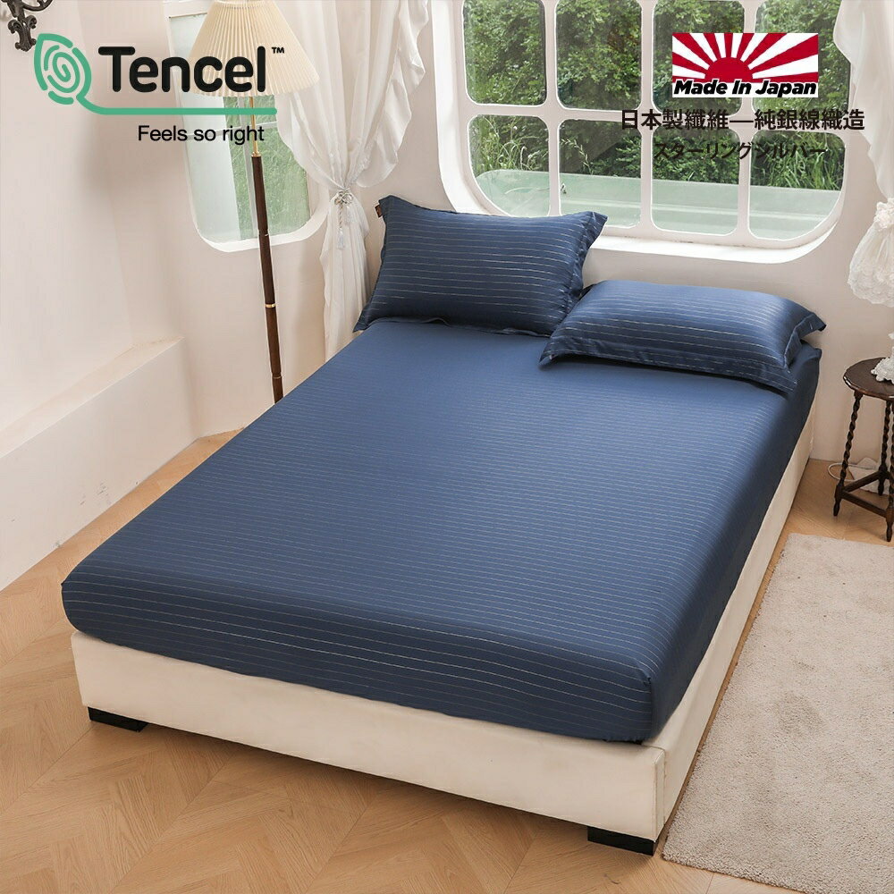 【3.5尺單人加大-天絲™60支100%萊賽爾-日本銀纖維~二件式床包枕套組】