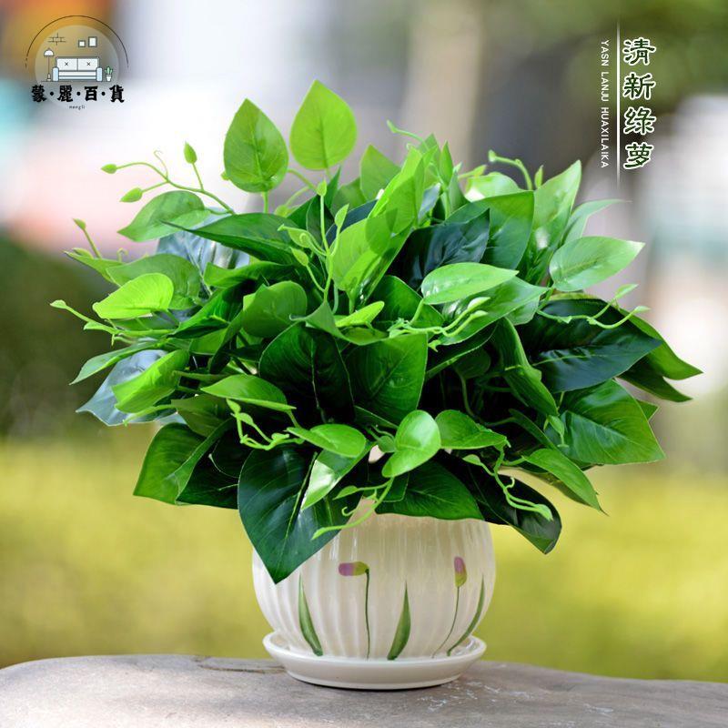 特惠/免運 工廠現貨 仿真花 假花 辦公室擺件 客廳裝飾 模擬綠蘿綠植假花模擬花草植物家居客廳裝飾盆栽擺設辦公室桌擺件 可開發票 全館折扣 特惠/店長推薦 售後保障 m5523