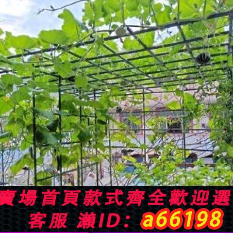 【臺灣公司 可開發票】【50根】包塑鋼管爬藤架家用藤蔓花卉支撐葡萄黃瓜架戶外庭院支柱