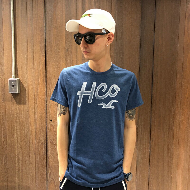 美國百分百【Hollister Co.】T恤 HCO 短袖 T-shirt 海鷗 logo 復古 藏藍色 M號 G489
