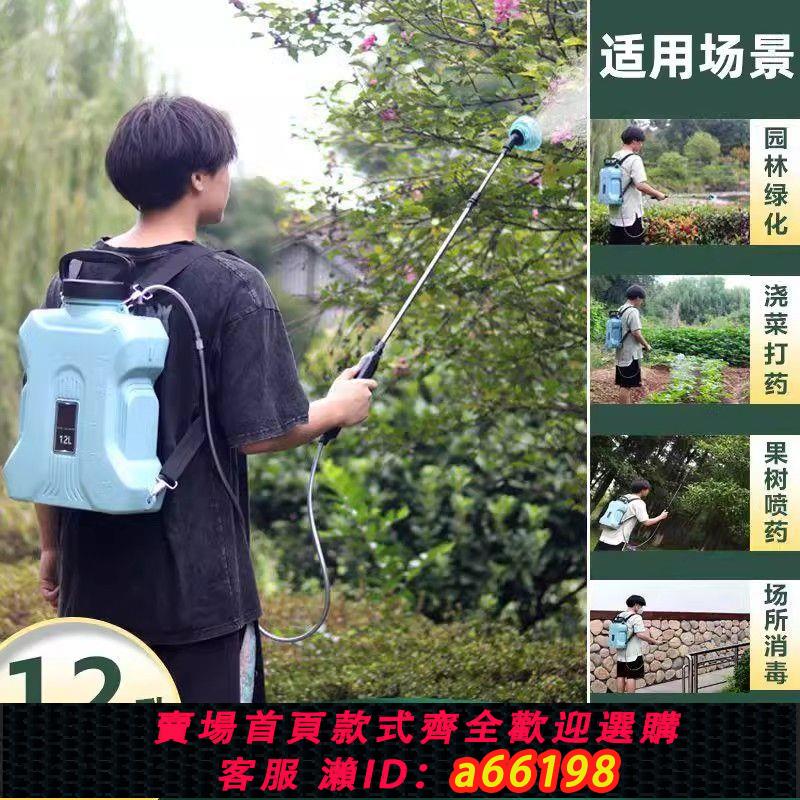 【臺灣公司 可開發票】園藝噴壺電動噴霧器打藥機高壓鋰電池噴霧多功能農用澆花背負式