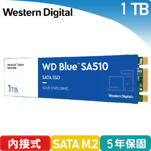 【現折$50 最高回饋3000點】 WD 威騰 藍標 SA510 1TB M.2 2280 SATA SSD固態硬碟