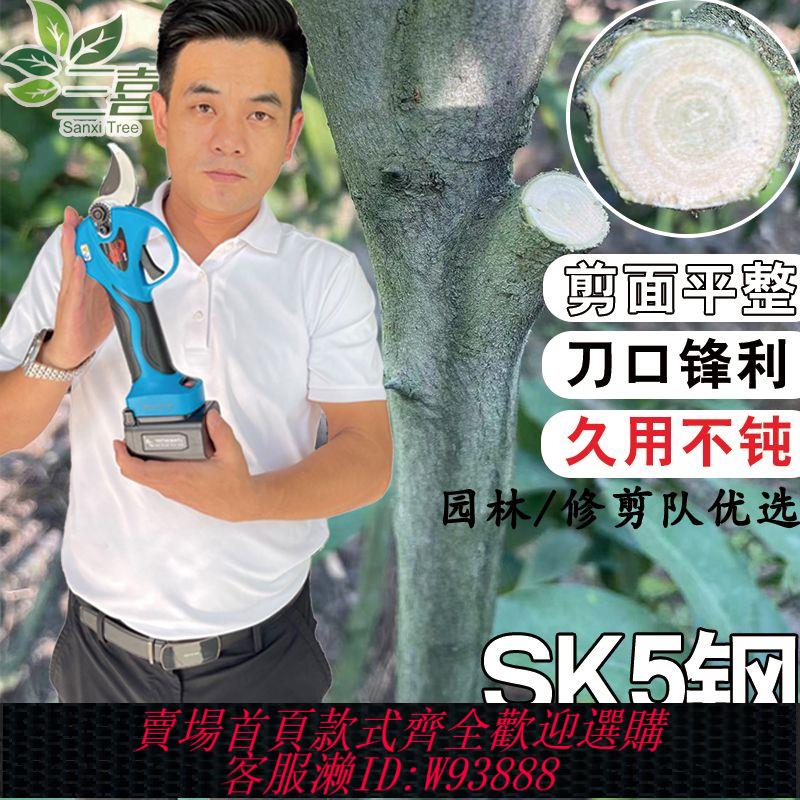【公司貨 最低價】崔老師三喜樹鋰電電動充電式果樹強力園藝園林修枝剪粗枝樹枝剪刀