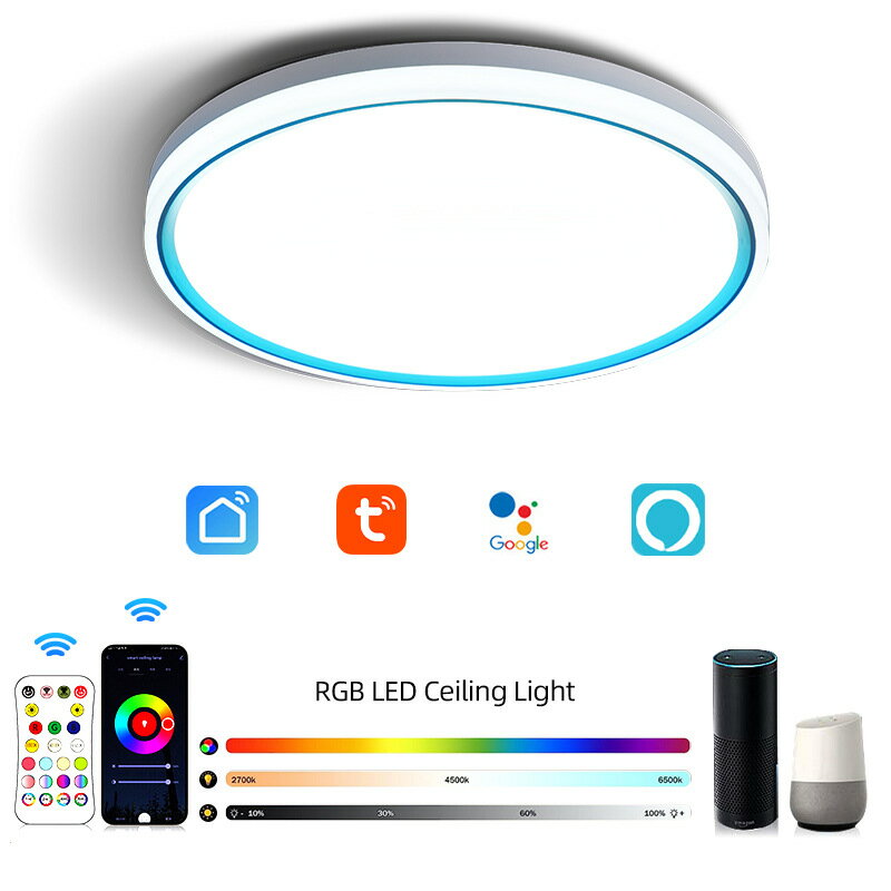 涂鴉智能RGB彩色吸頂燈WiFi藍牙Alexa語音LED客廳臥室圓形三防燈「限時特惠」