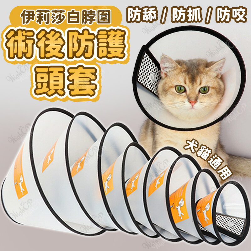 伊莉莎白圈 全尺寸 大狗可用 防舔頭套 防咬 寵物餵藥 寵物項圈  頭套 寵物頭套 貓頭套 項圈 狗頭套 狗項圈 伊莉莎白頭套【519019】