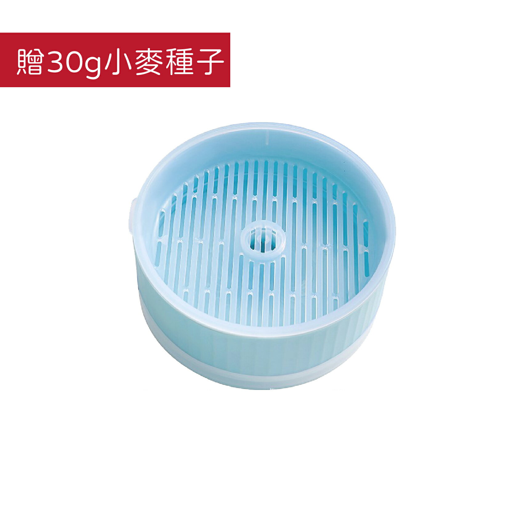 撞色貓草水培盒 貓草Diy 水培貓草盒 無土貓草盒 水培器 種貓草盆 貓草 貓草種植 小麥草【230510】 0