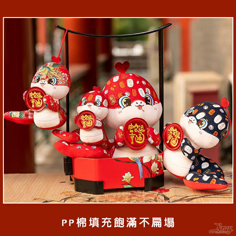 蛇年玩偶，新年吉祥物 過年佈置 新年娃娃 造型生肖娃娃 春節擺飾 娃娃吊飾 抱枕，X射線【Z070001】 6