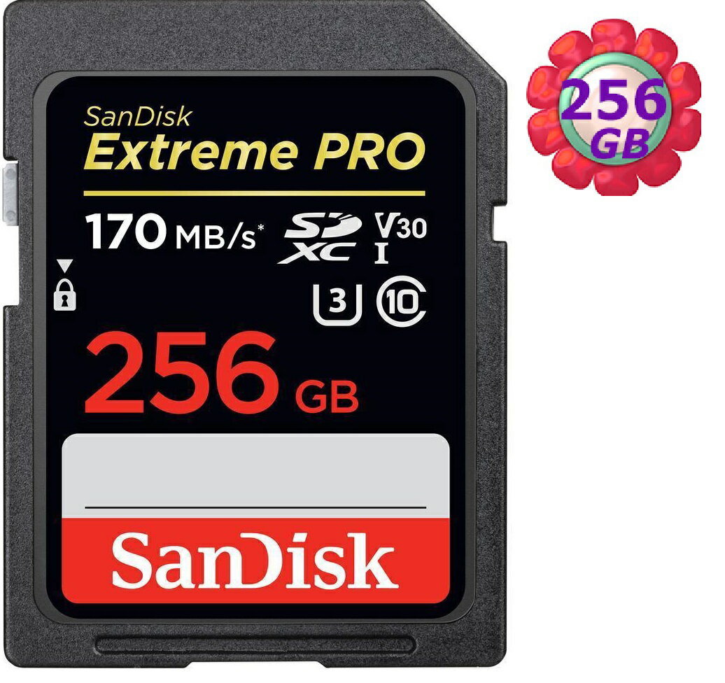 SanDisk 256GB 256G SDXC【170MB/s】Extreme Pro 633X SD UHS-I UHS 4K U3 Class 3 C10 Class 10 V30 原廠包裝 相機記憶卡