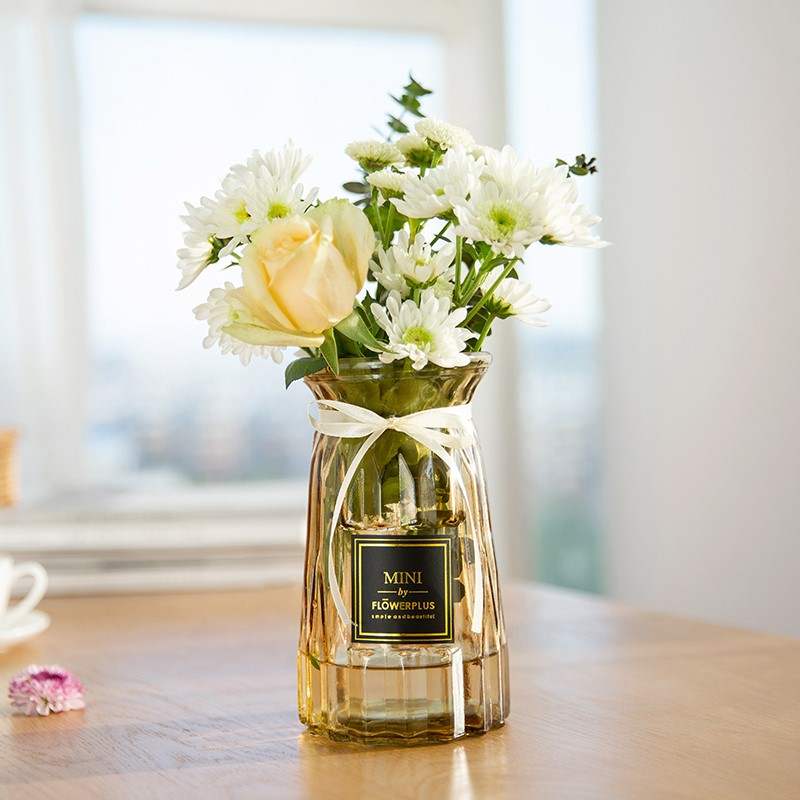 ,透明花瓶干花水培玻璃瓶客廳創意小清新擺件插花裝飾花盆復古懷