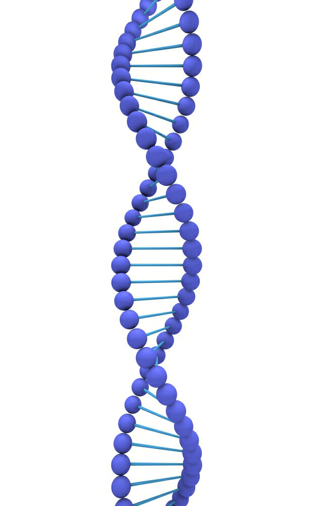 Posterazzi: Conceptual image of DNA Stretched Canvas - Stocktrek Images ...