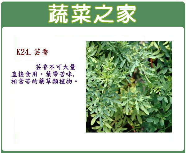 【蔬菜之家】K24.芸香種子50顆