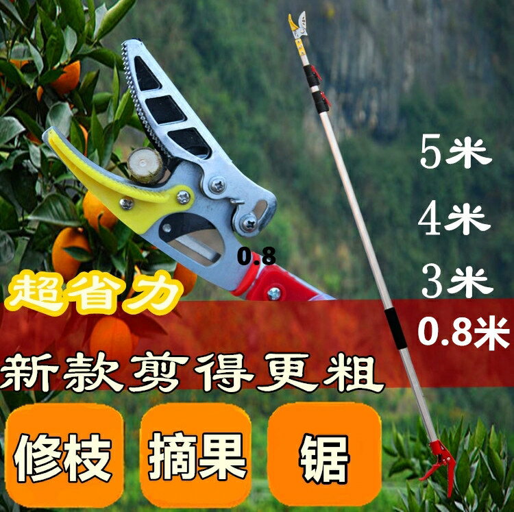 進口高空摘果神器摘荔枝龍眼水芒果枇杷楊梅櫻桃工具剪頭伸縮桿子