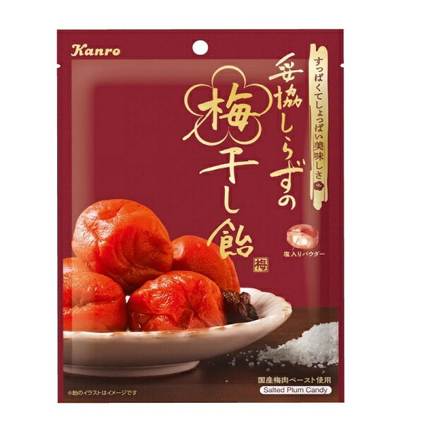 江戶物語 日本進口kanro 甘樂不妥協塩梅飴65g 約17顆鹽梅糖梅干糖硬糖塩糖婚禮糖 江戶物語直營店