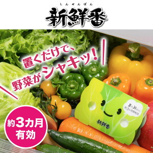 日本製 ST 雞仔牌 新鮮番蔬果保鮮劑 可使用3個月＊夏日微風＊