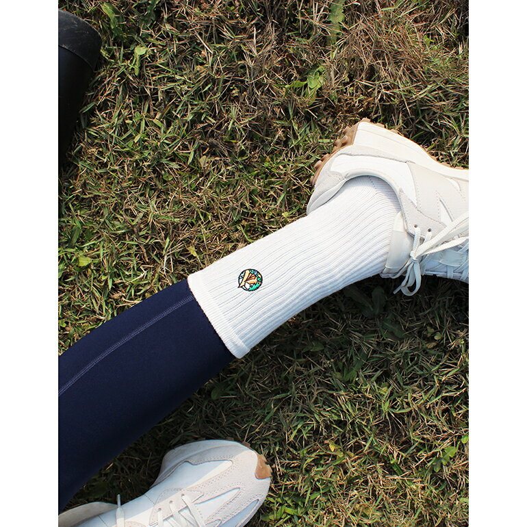 FOOTER 露營刺繡高筒登山襪 除臭襪 黑白 出國 滑雪 百岳(女-T210M) 7