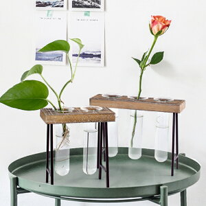 復古小清新綠蘿植物水培容器辦公室桌面創意透明玻璃花瓶裝飾擺件1入