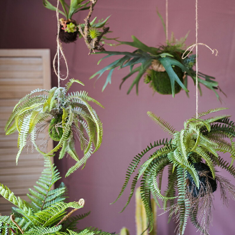 掬涵 蕨類植物吊球 模擬垂吊綠植 波士頓蕨鹿角蕨壁掛擺件裝飾