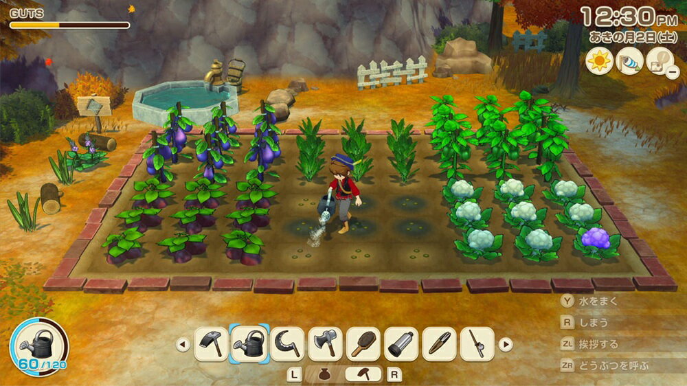 【御玩家】[預購8/28發售] NS Switch 牧場物語 來吧！風之繁華市集 中文版 4