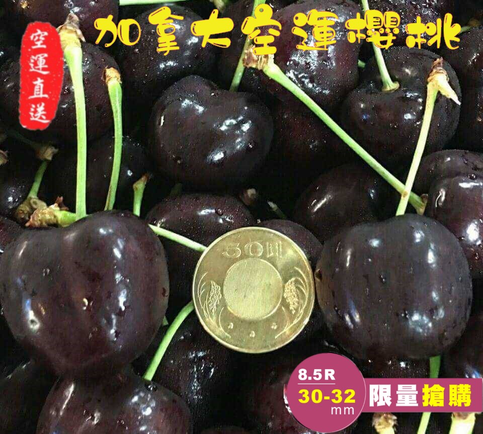 【緁迪水果JDFruit】【加拿大空運櫻桃】空運櫻桃巨無霸8.5or等級 l