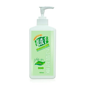 綠的GREEN 乾洗手消毒潔手凝露 75% 500ml【何藥局新一代藥妝連鎖】