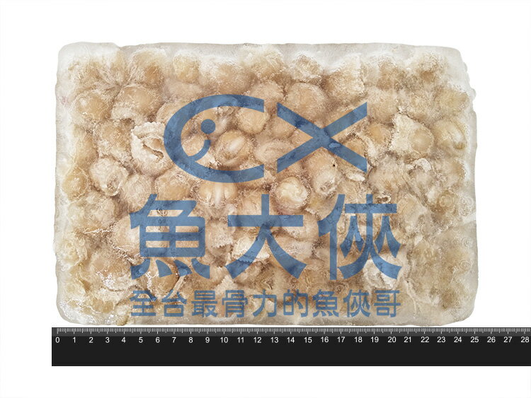 C2【魚大俠】SD036魷魚嘴嘴龍珠兒(毛重1.2kg/淨重800g/包)