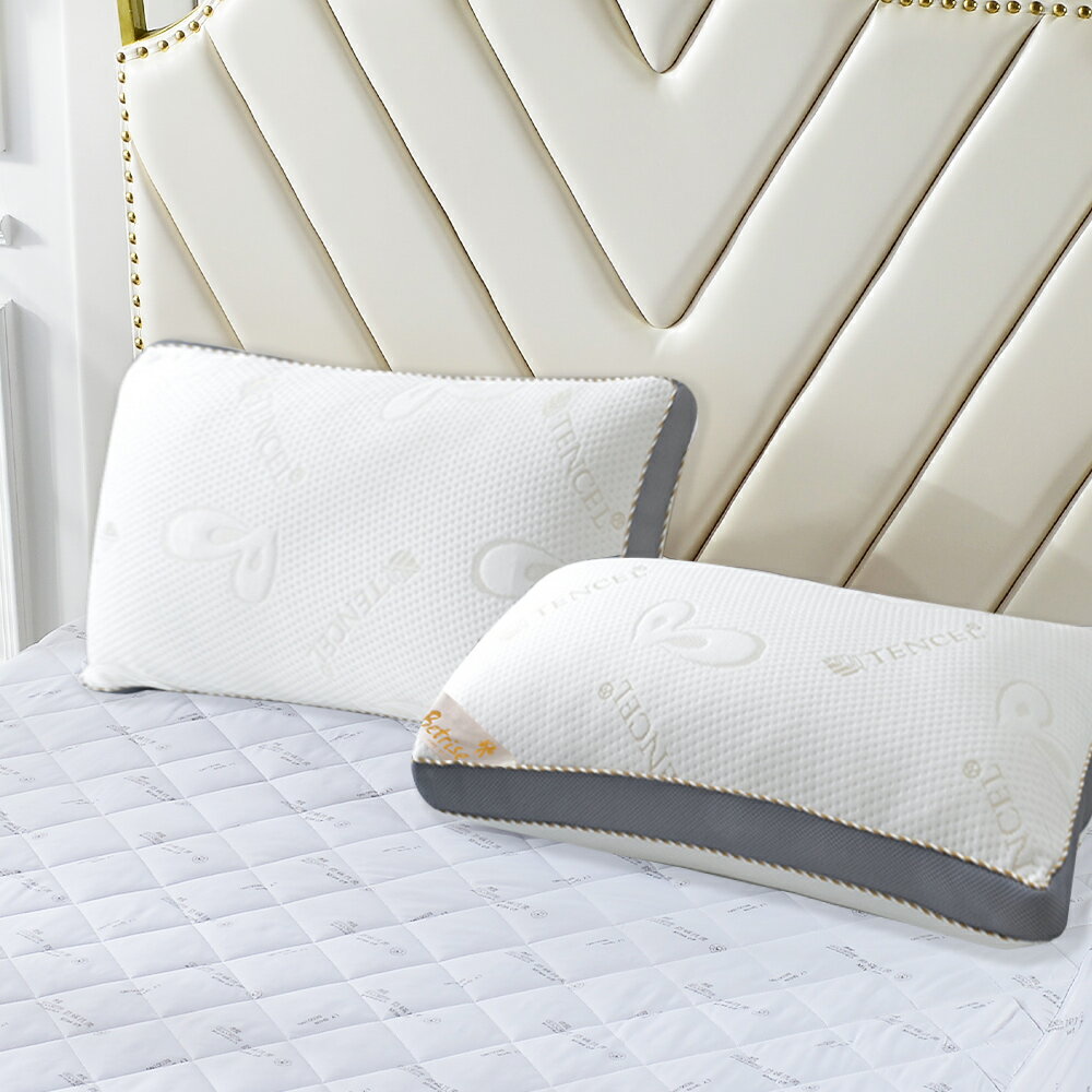 【Betrise】 3D立體天絲獨立筒枕(超值買一送一)