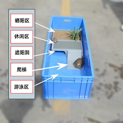 【優選百貨】烏龜缸塑料烏龜箱帶曬台魚缸開放式養龜專用塑料箱烏龜大型飼養箱