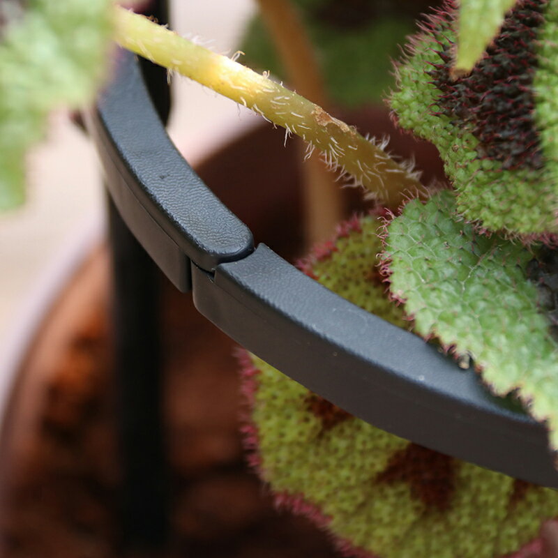 小花架花托支架矮植專用花架植物托架爬藤架8mm粗草莓托架爬藤架