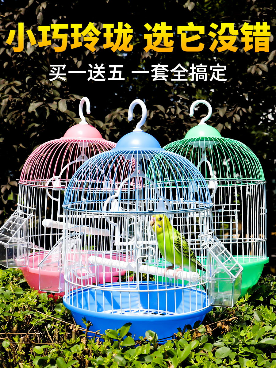 鳥籠 鸚鵡小小型小號迷你虎皮牡丹珍珠繡眼金屬子家用別墅【MJ6191】