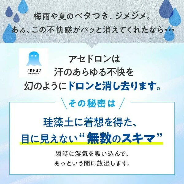 日本GUNZE吸濕排汗消臭隱形襪 灰色 7