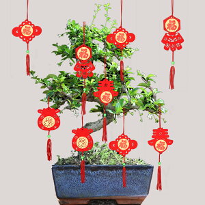 新年小掛件盆景植物過年喜慶小掛飾元寶錢袋紅燈籠春節室內裝飾品