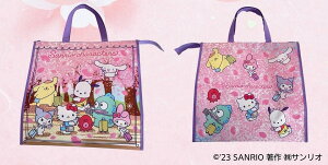 方形防水拉鍊購物袋 25L-三麗鷗 Sanrio 日本進口正版授權