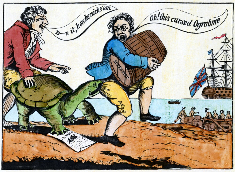 posterazzi-cartoon-embargo-1811-nograbme-or-the-american-snapping-turtle-american-cartoon-by