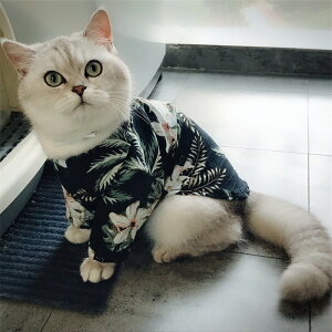 貓咪衣服春夏款貓襯衫防掉毛夏裝薄款可愛帥氣英短藍貓布偶貓潮牌