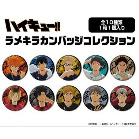日本代購 排球少年Ensky 動畫TOP Lame Kira胸針收藏 閃亮徽章 收藏全10種 預訂品 預購2024年8月