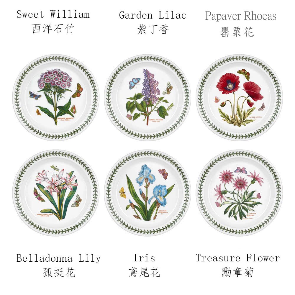 英國 Portmeirion-Botanic Garden 經典植物園系列 20CM(8吋)盤6入組