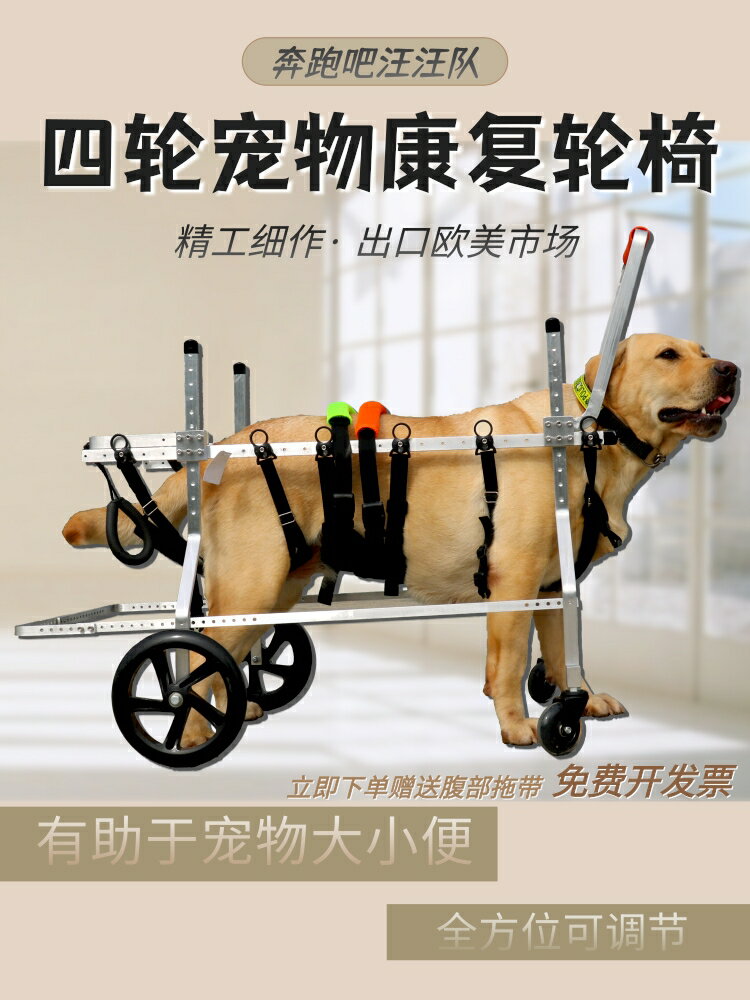 癱瘓犬老年犬輪椅拉布拉多阿拉斯加金毛四輪狗輪椅殘疾狗車大型犬 森馬先生旗艦店