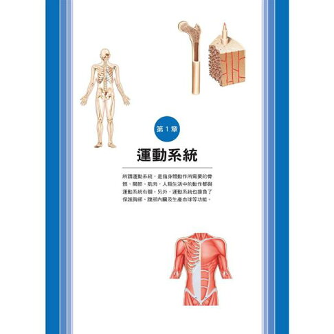 人體結構與疾病透視聖經:看不到的身體構造與疾病,3D立體完整呈現,比X光片真實(附日本授權3D立體動畫) 4