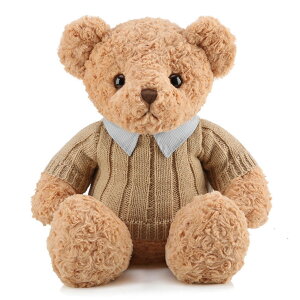 泰迪熊毛絨玩具新款襯衣領公仔批發娃娃公仔生日禮物泰迪小熊抱枕
