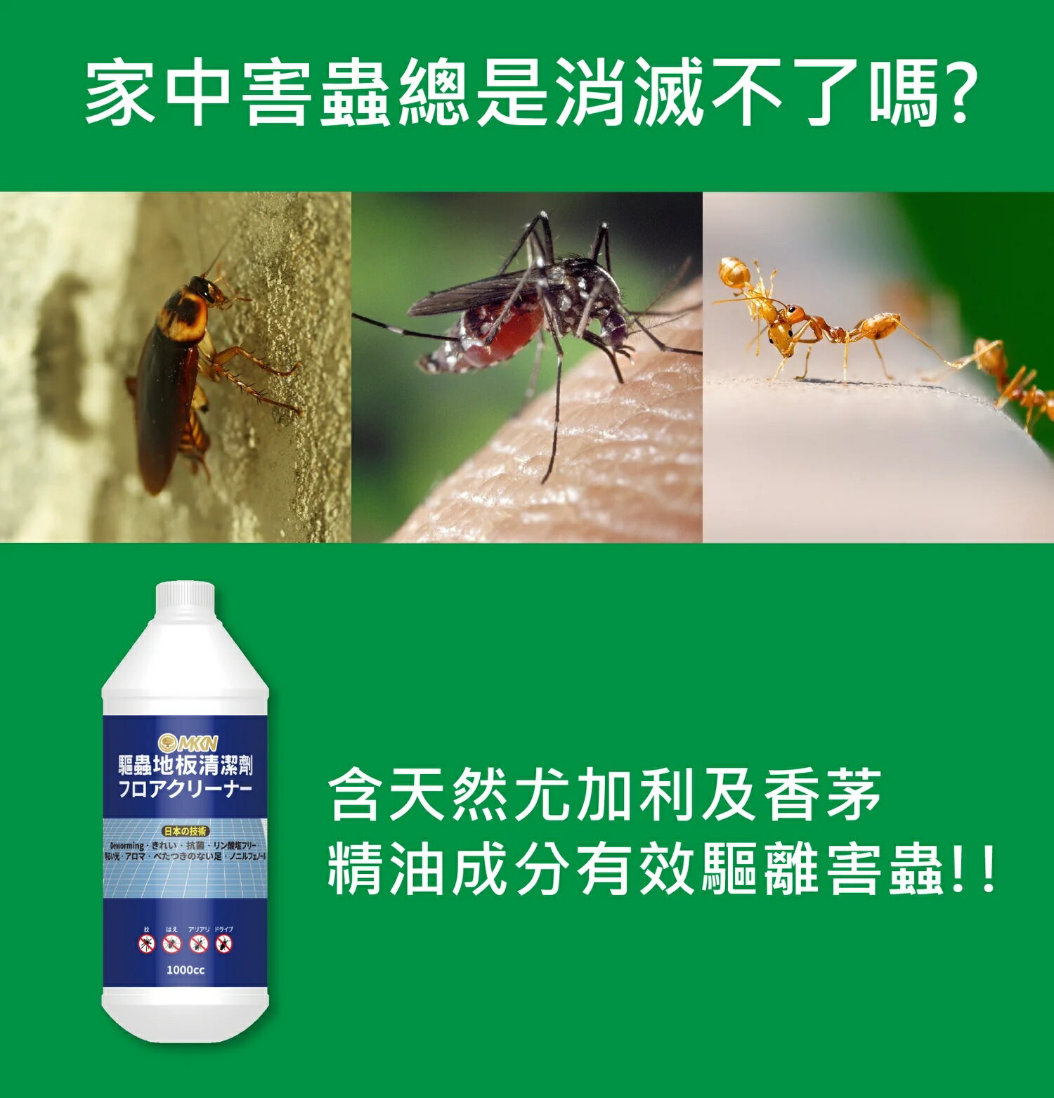泰聯 MKKN 地板清潔劑 (蟲蟲不喜歡) (1L、2L) 1