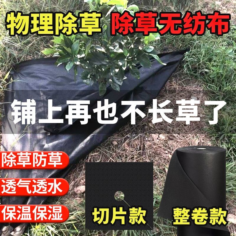 快速出貨】新型防草布除草布批發透氣透水檳榔樹果樹農用地膜蓋草布廠家