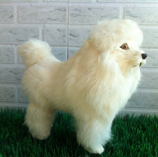 蹲貴賓犬 貴婦犬 真皮富貴犬萌狗狗 模擬動物 模型