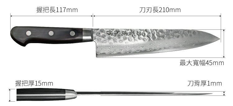 又敗家@日本一刀齋虎徹作VG10洋式210mm牛刀K-VGSAG210(槌目大馬革紋;33