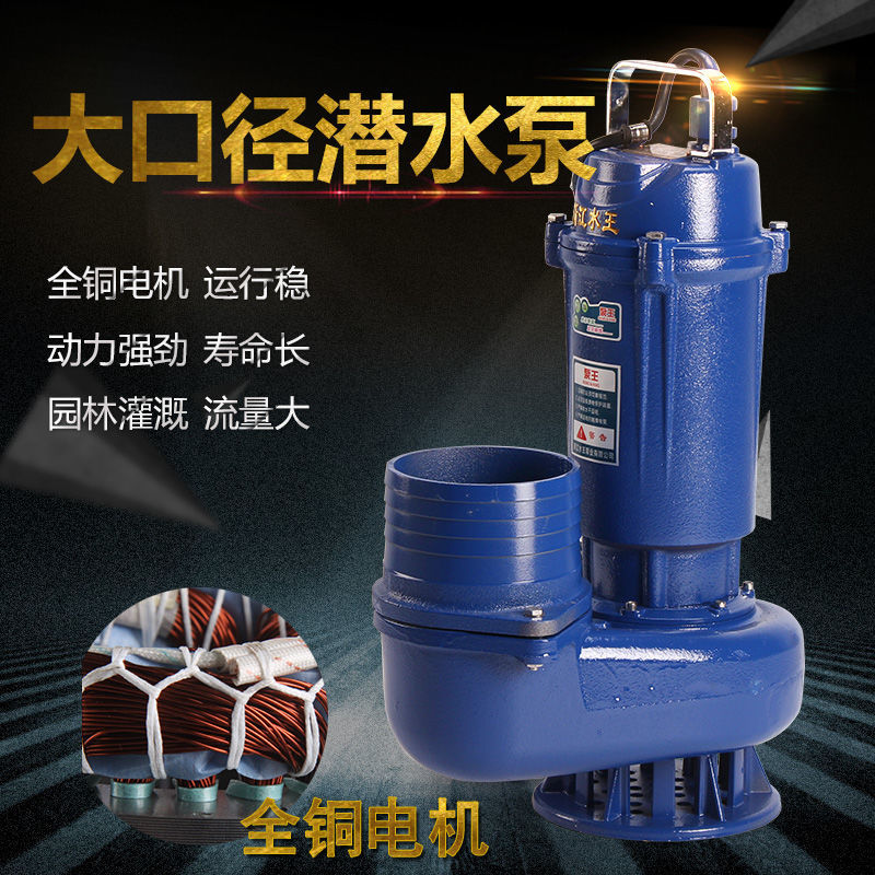 【詢價有驚喜】水王潛水泵6寸單相220V大口徑抽水泵大流量4寸5寸農用灌溉澆地QDX 5