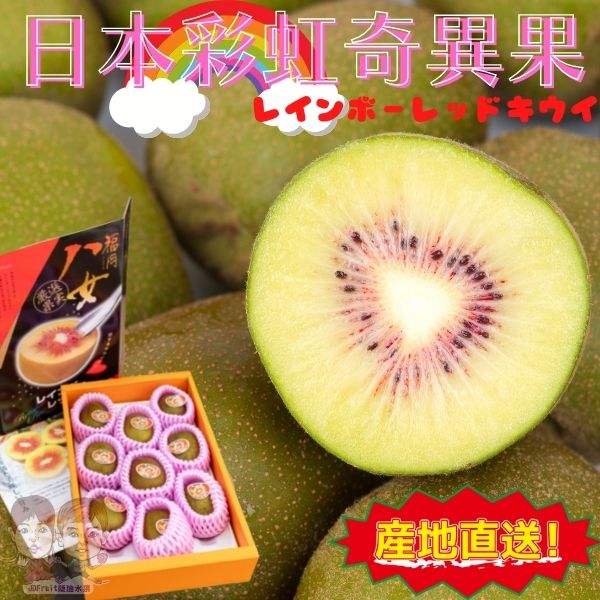 【緁迪水果JDFruit】日本福岡八女紅心奇異果(9入/盒)，日本最精緻的紅心香甜奇異果【日本空運】