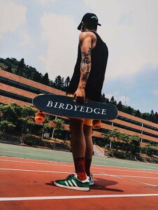 BIRDYEDGE 設計 美國電動滑板 電動車 滑板 四輪車 木製 滑板 滑板車 代步車 車 台灣品牌