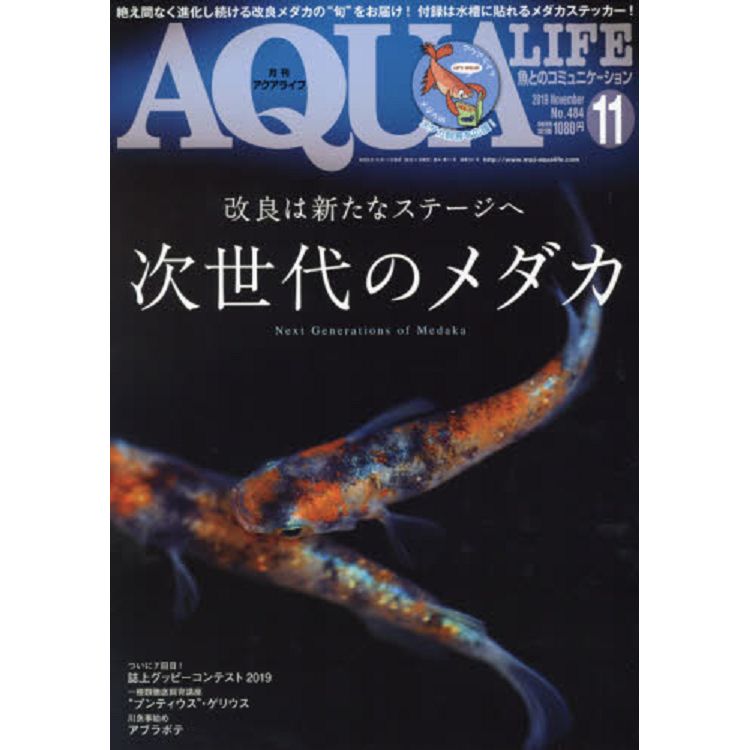 AQUALIFE11月號2019附貼紙