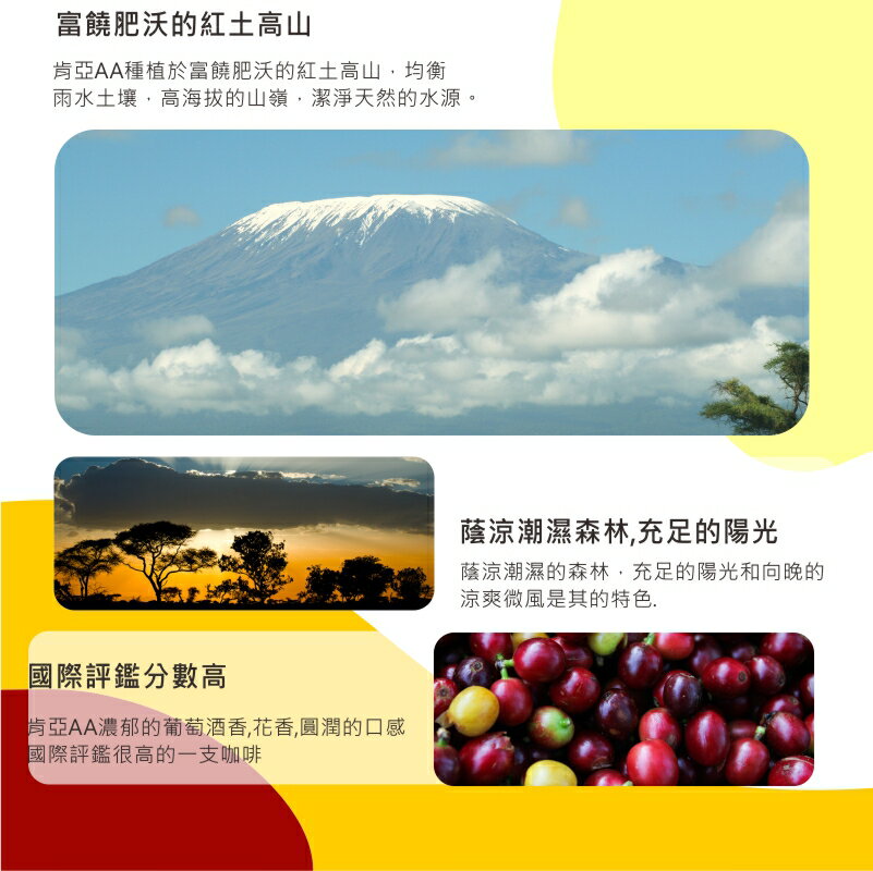 肯亞AA濾掛咖啡 Kenya AA   | DALLYN世界嚴選莊園  ★滿299元超取免運 , 滿1500元店家宅配免運★ 6