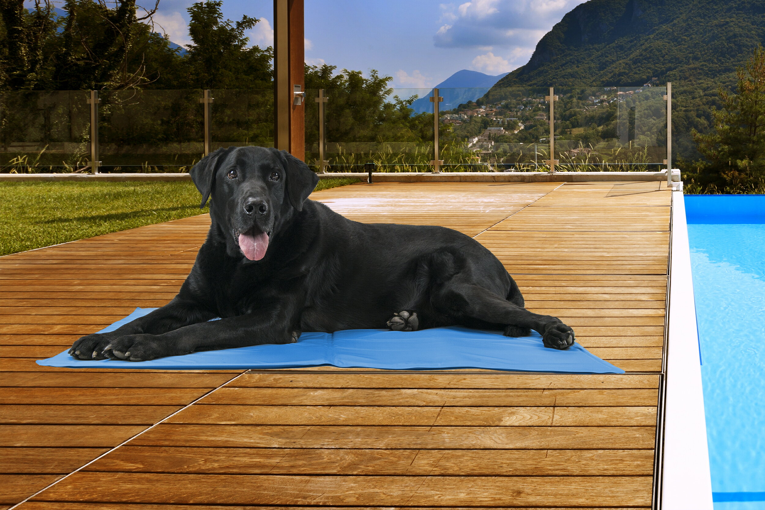 FurHaven Pet Cooling Pad | Pupicicle Cool Gel Pet Pad - Available in Multiple Colors & Sizes 1